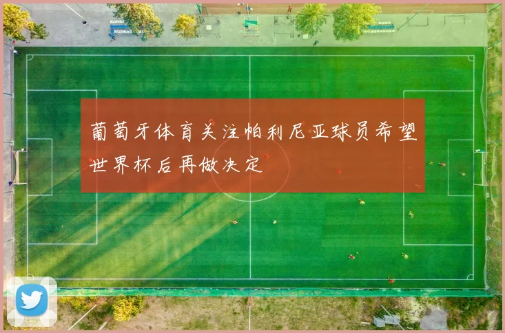 葡萄牙体育关注帕利尼亚球员希望世界杯后再做决定