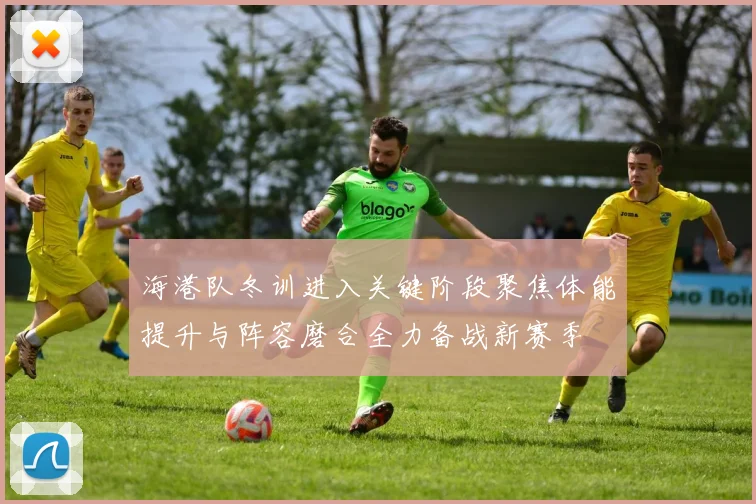 海港队冬训进入关键阶段聚焦体能提升与阵容磨合全力备战新赛季