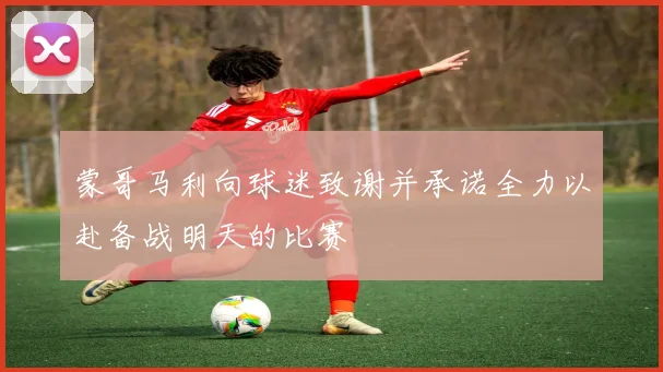 蒙哥马利向球迷致谢并承诺全力以赴备战明天的比赛